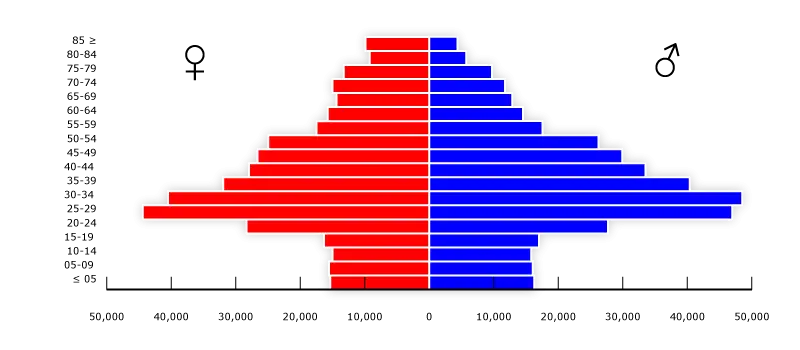 Population Pyramid Chart