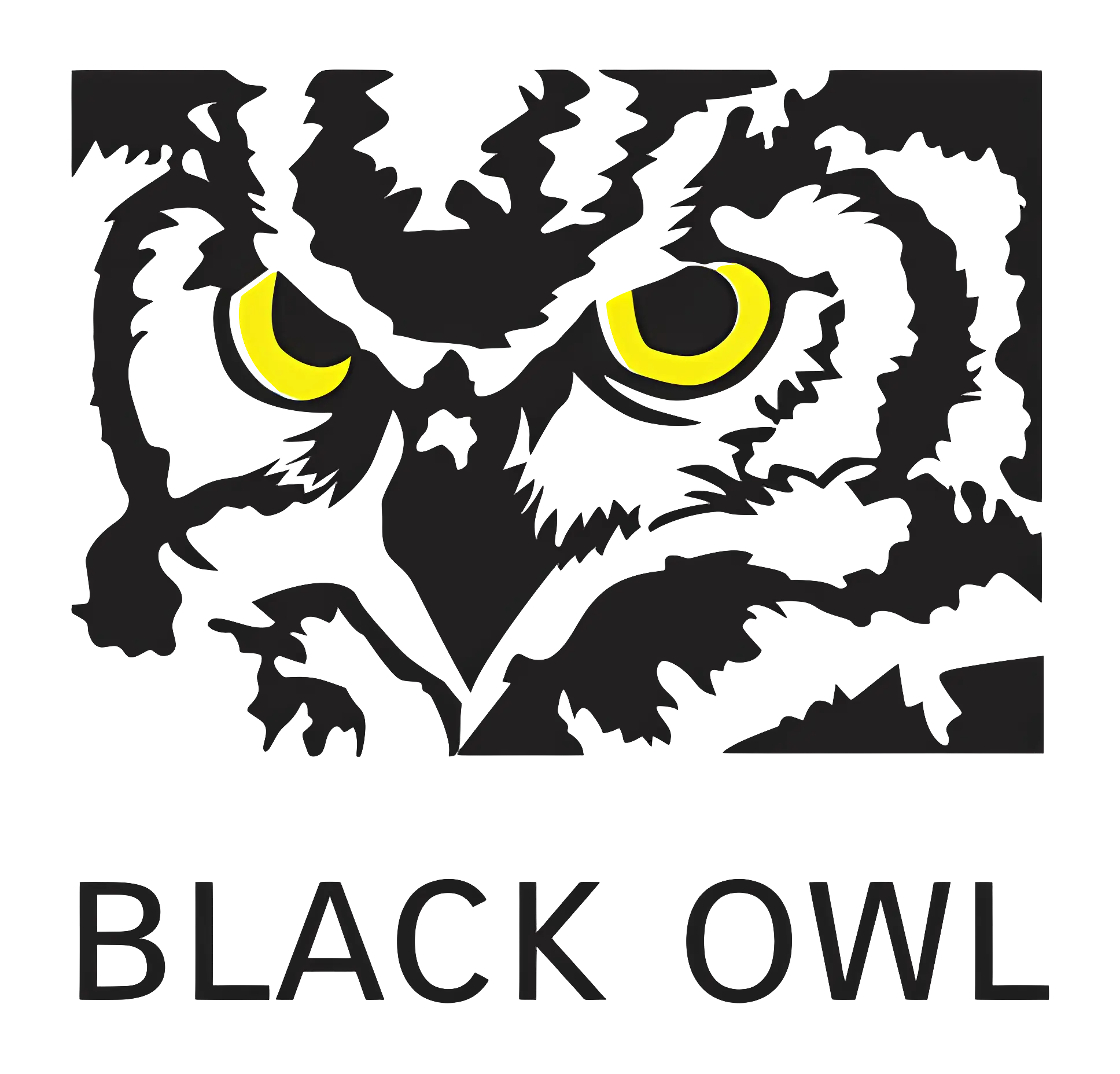 Black Owl Monochrome Logo