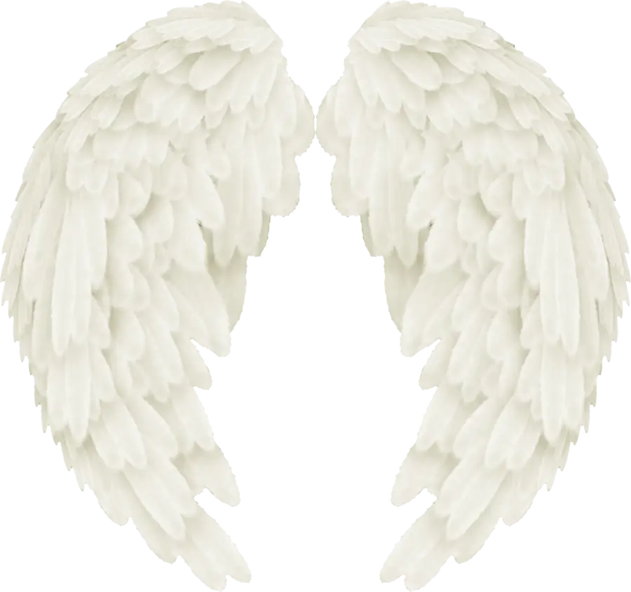 White Feathered Wings