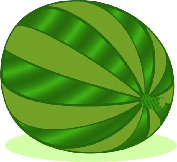 Green Watermelon Illustration