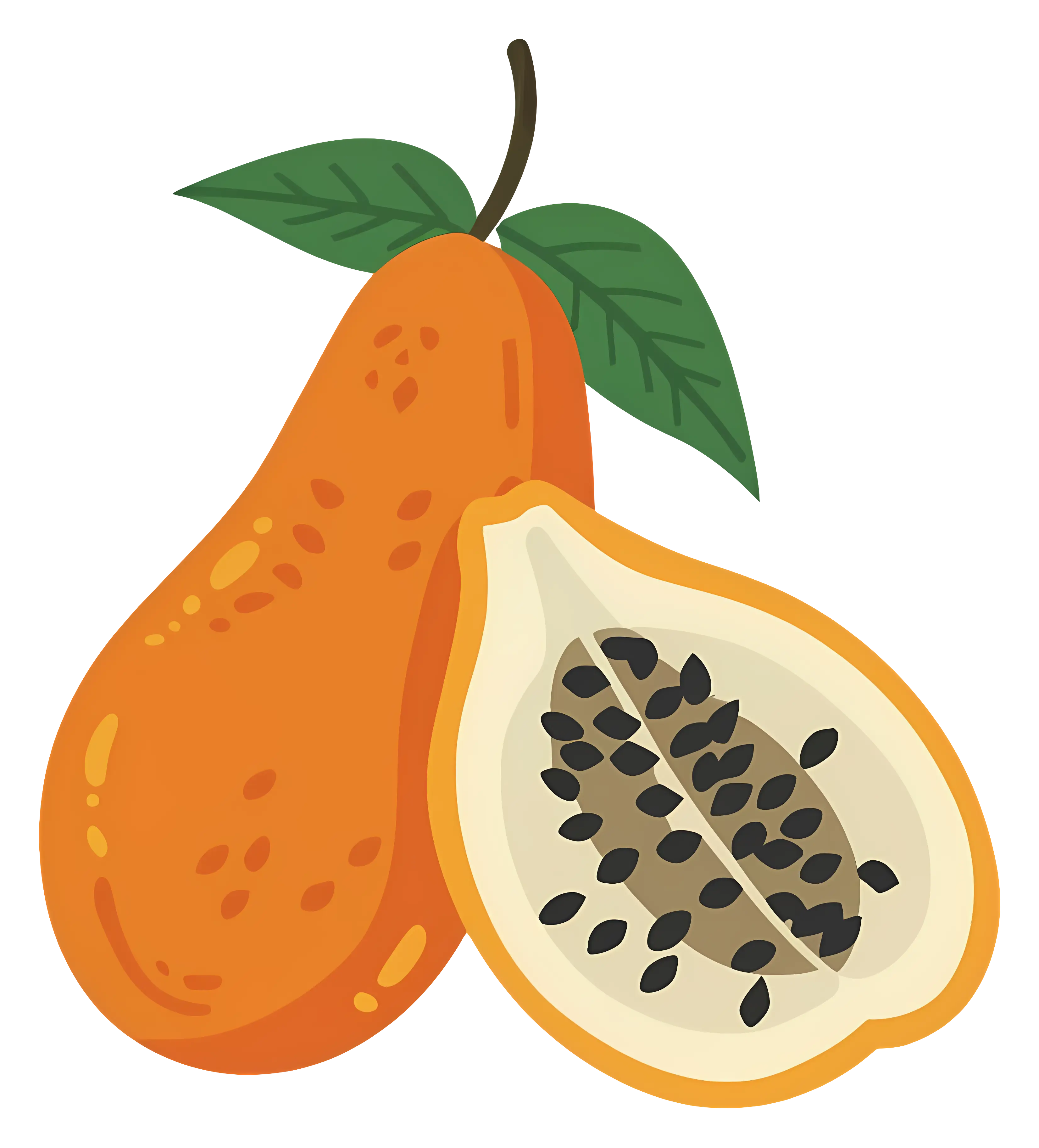 Papaya Fruit with Seeds Illustration