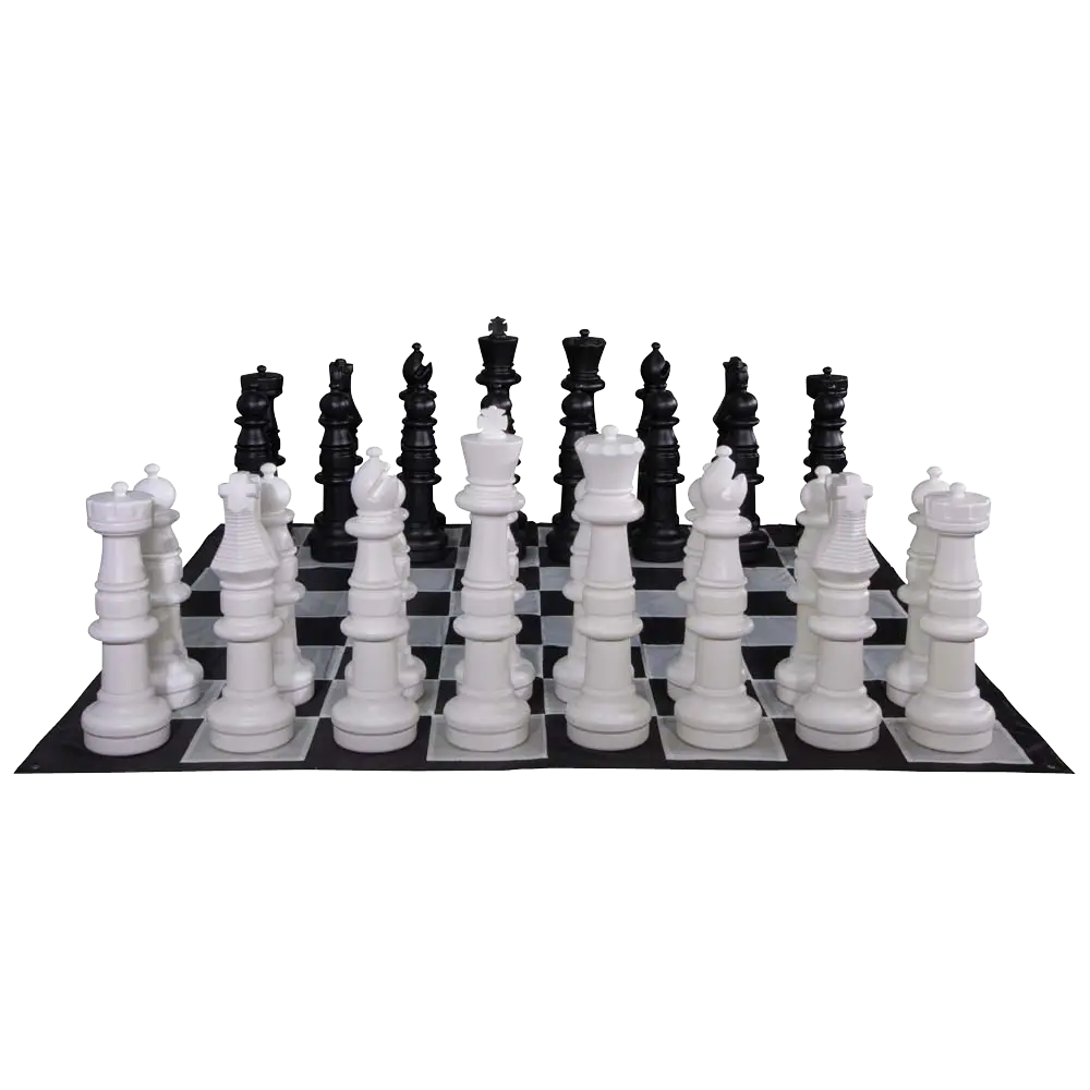 Chessboard with Black and White Pieces