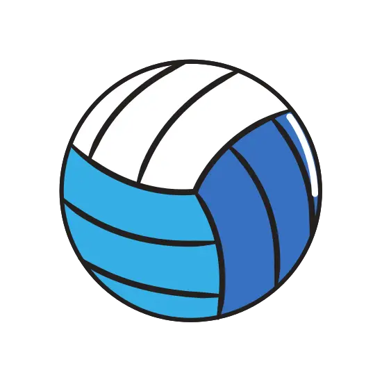 Blue and White Volleyball
