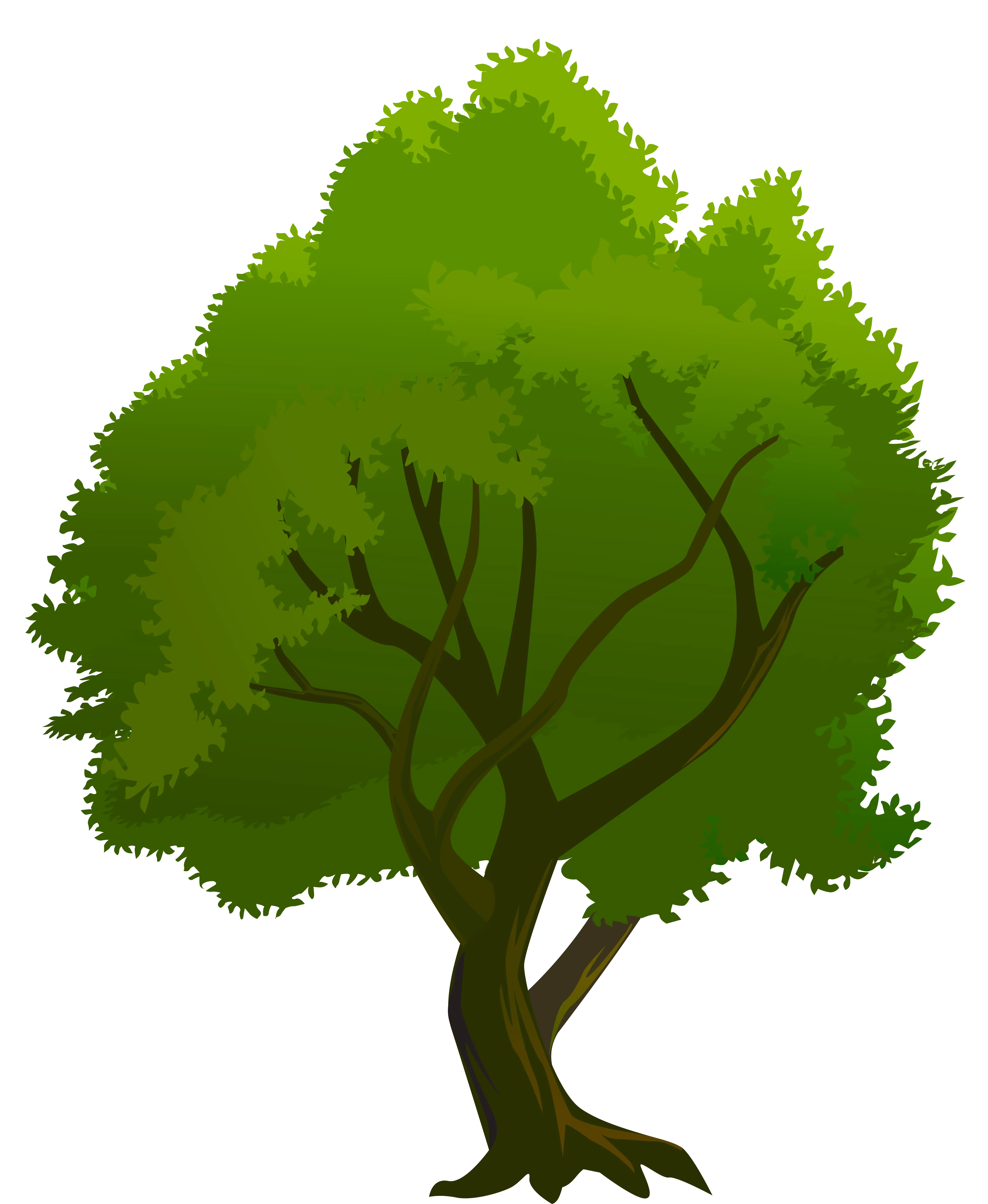 Beautiful Green Tree Illustration