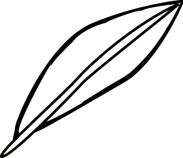 Minimal Feather Outline Illustration