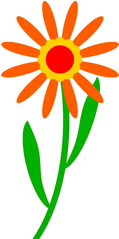 Orange Flower with Green Stem