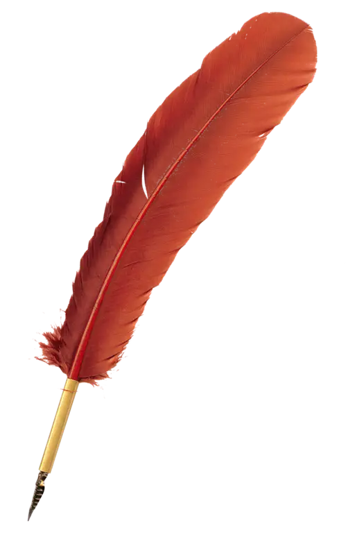 Red Feather Quill Pen Illustration