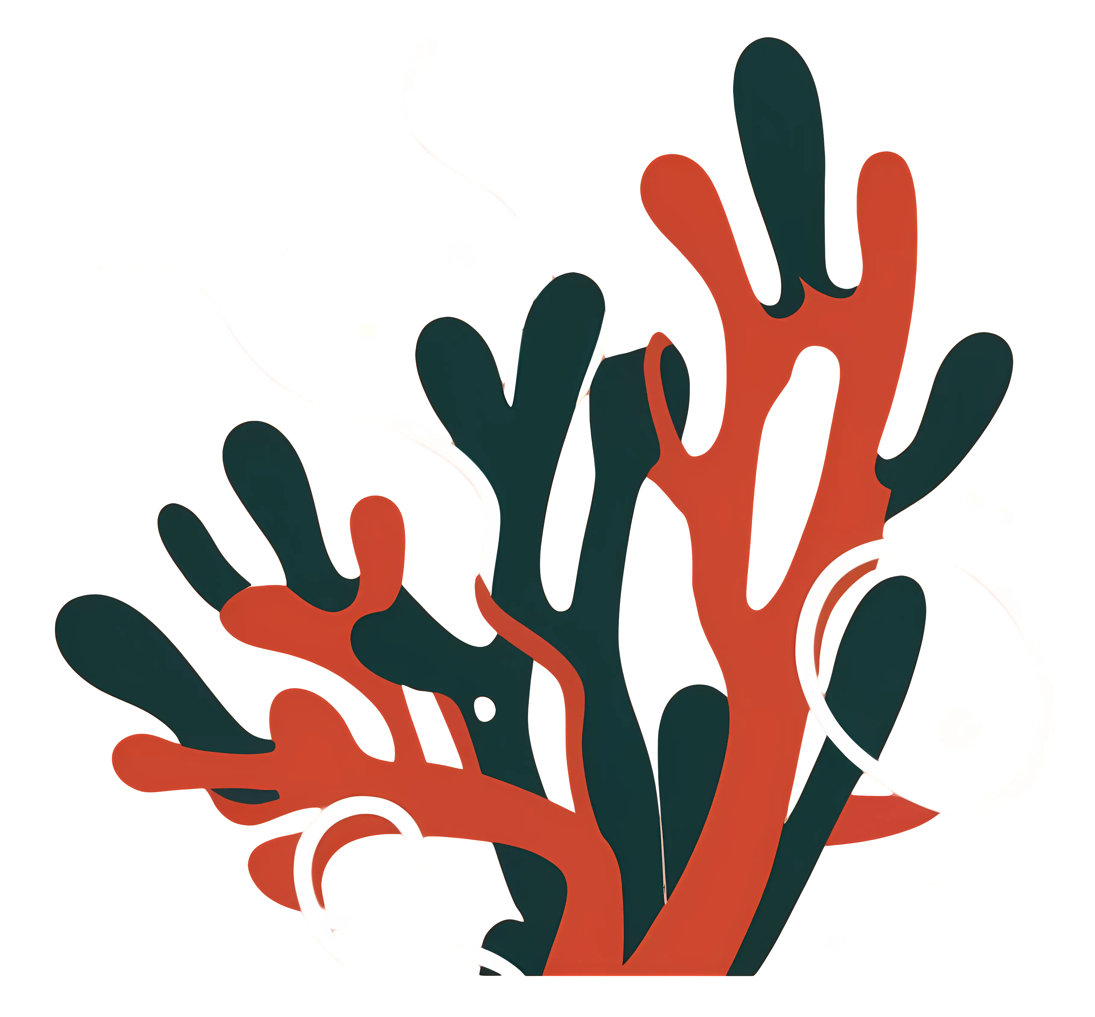 Colorful Coral Illustration