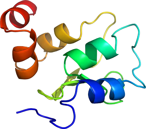Protein 3D Structure in Biochemistry