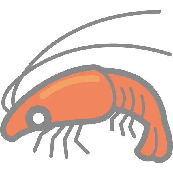 Cartoon Shrimp