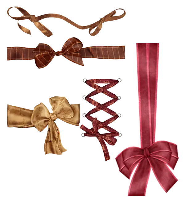 Collection of Various Bows
