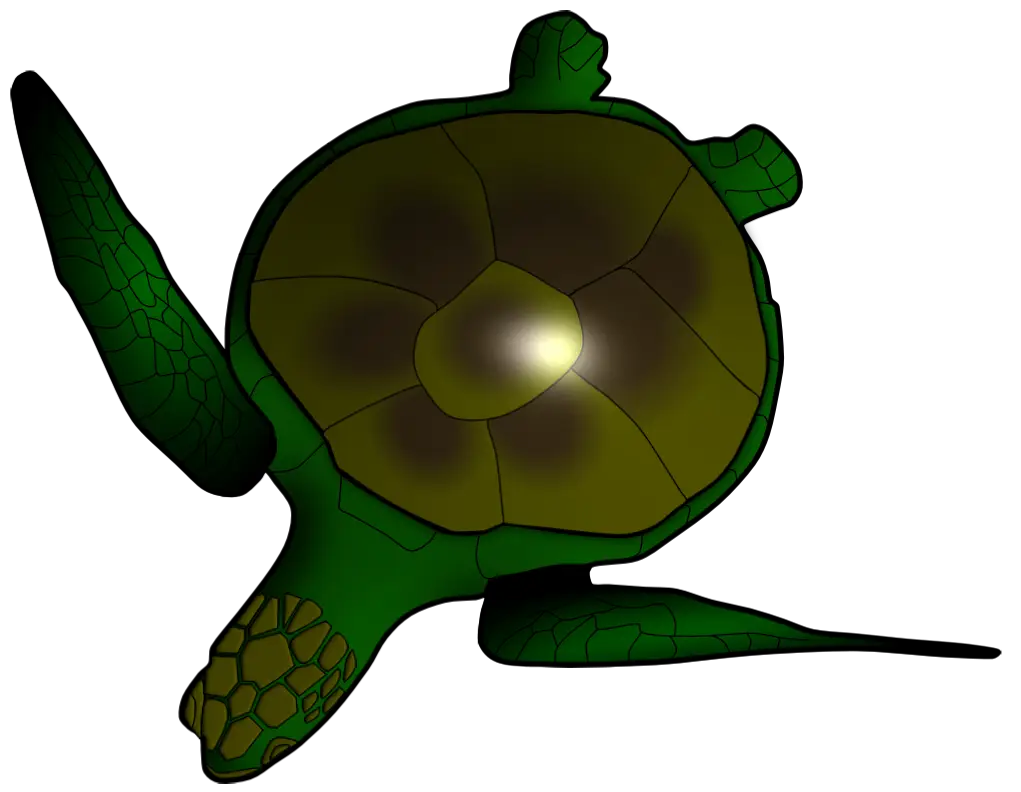 Green Marine Turtle Illustration