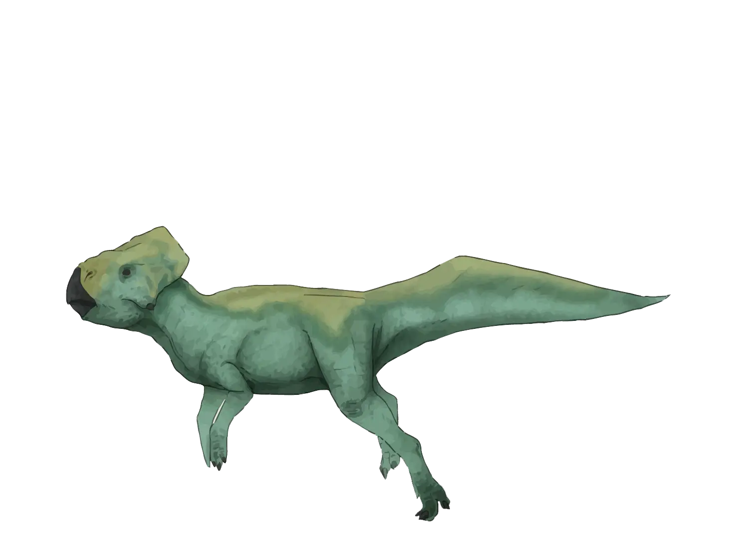 Green Dinosaur Illustration