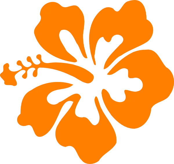 Bright Orange Hibiscus Flower Icon Illustration