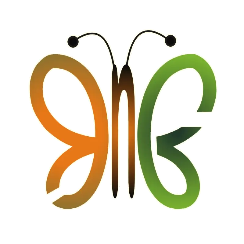 Abstract Butterfly Design