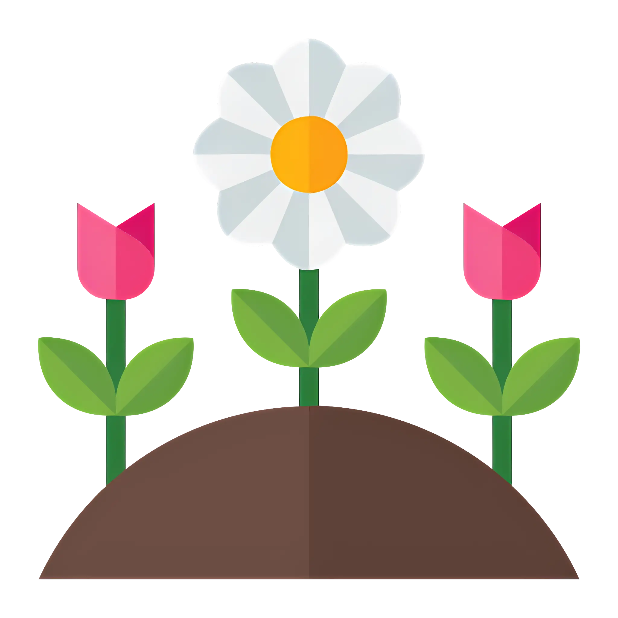 Blooming Flowers in Garden