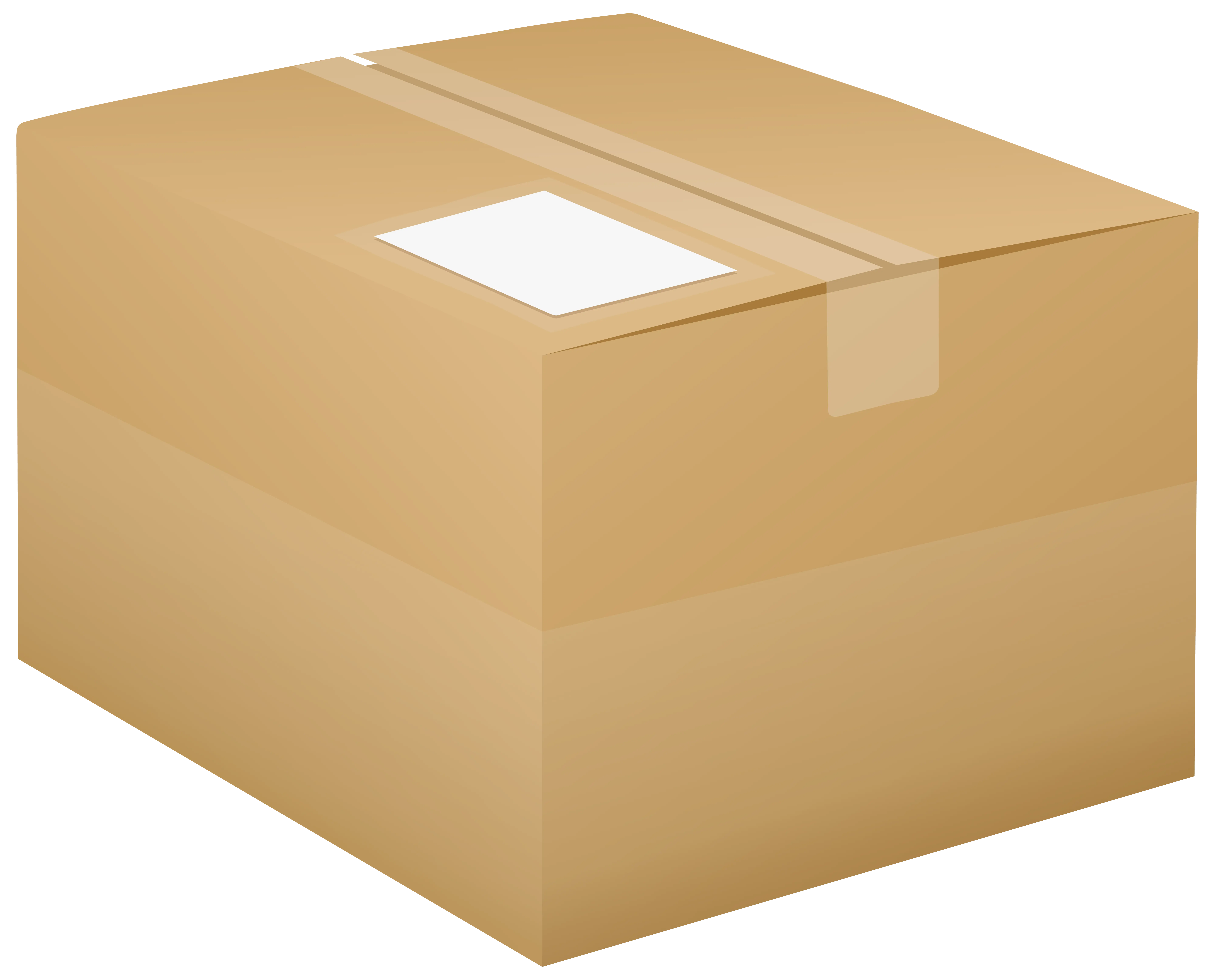 Sealed Cardboard Box for Packaging