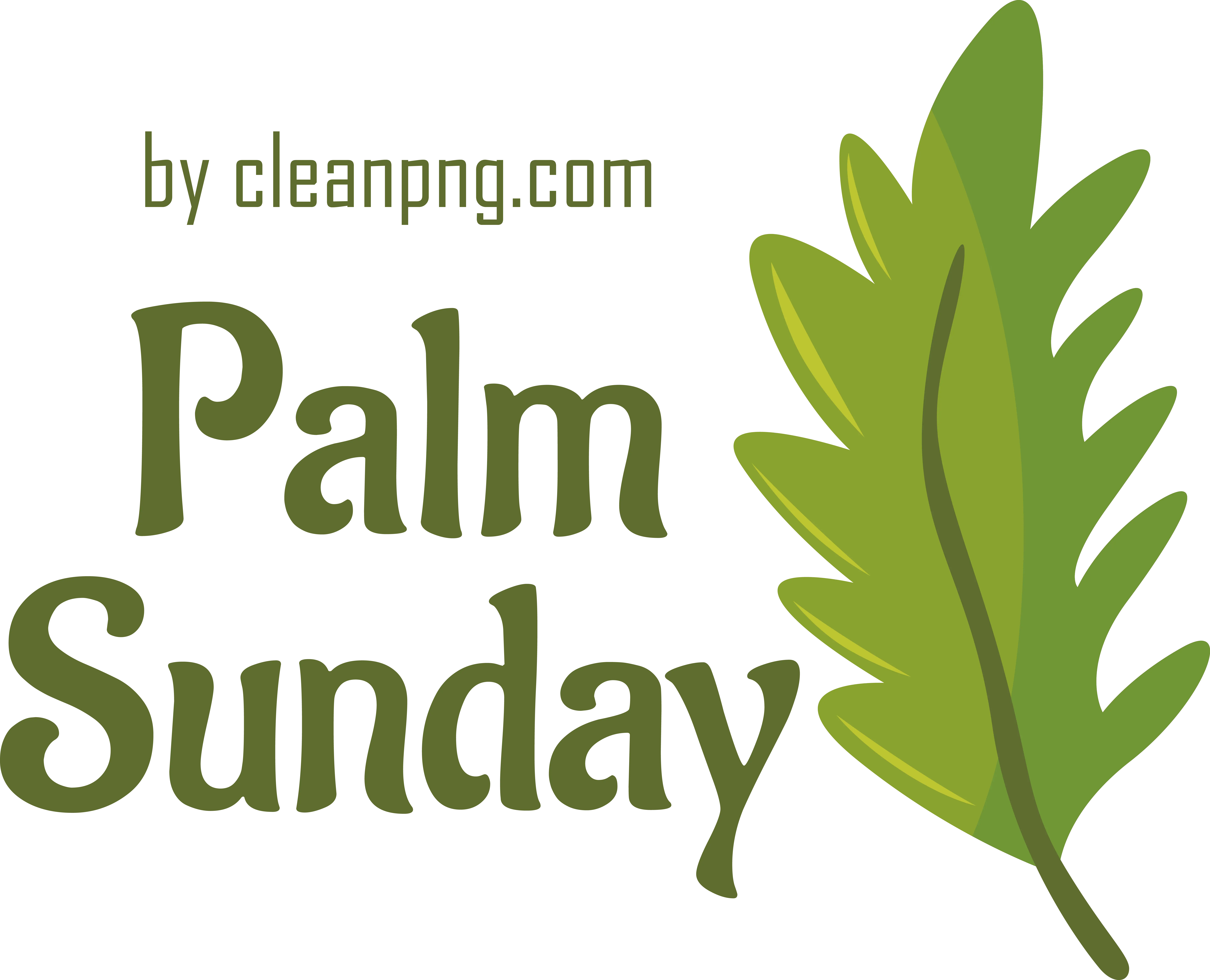 Green Palm Leaf Illustration for Palm Sunday