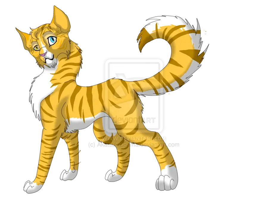 Cartoon Yellow Cat