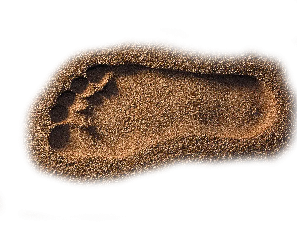 Footprint in Sand