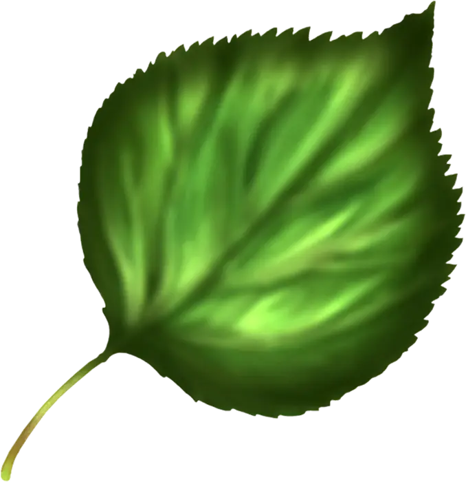 Bright Green Leaf Illustration