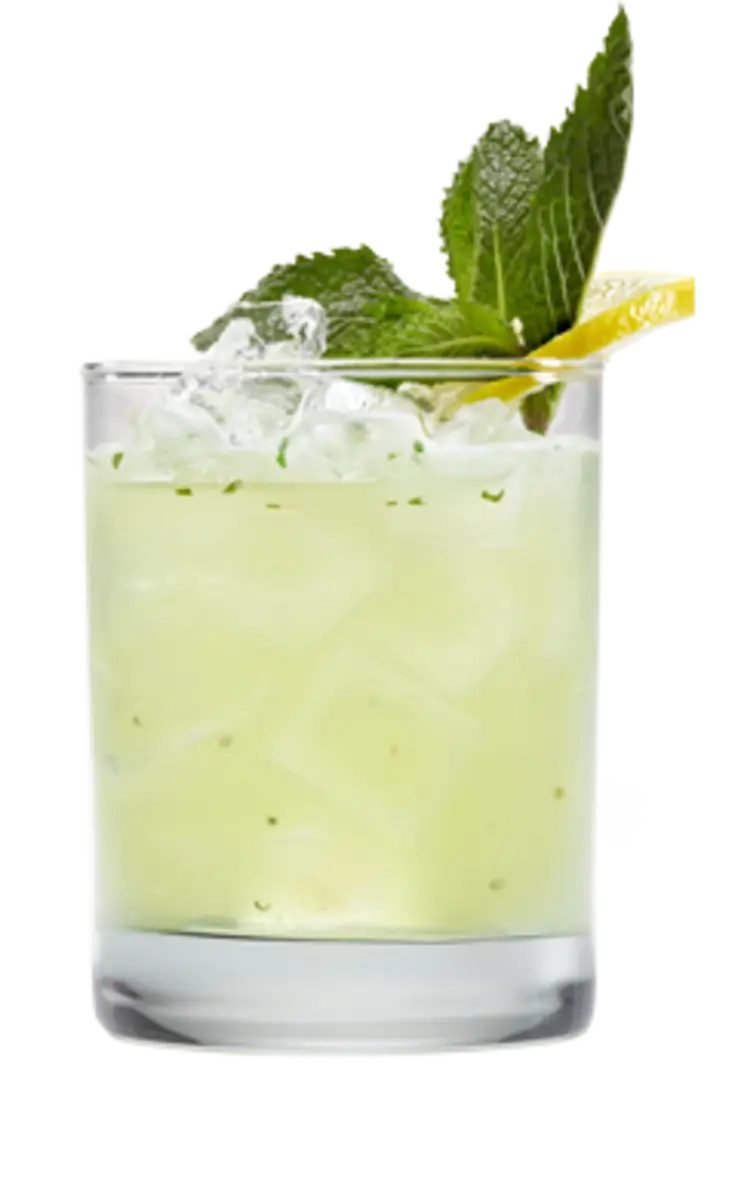 Refreshing Lemon Mint Drink