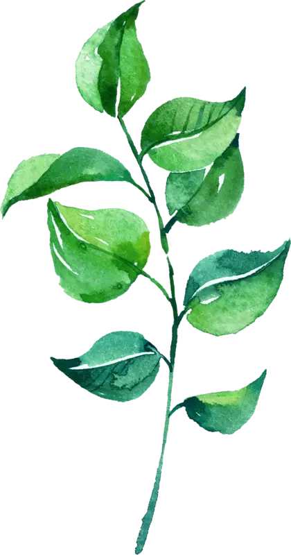 Watercolor Leaves Botanical Illustration