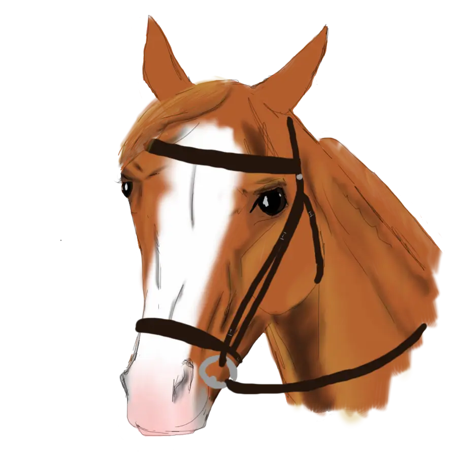 Brown Horse Head Illustration