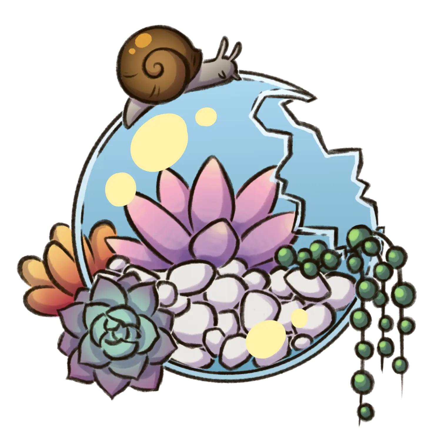 Snail and Succulents in a Terrarium Illustration