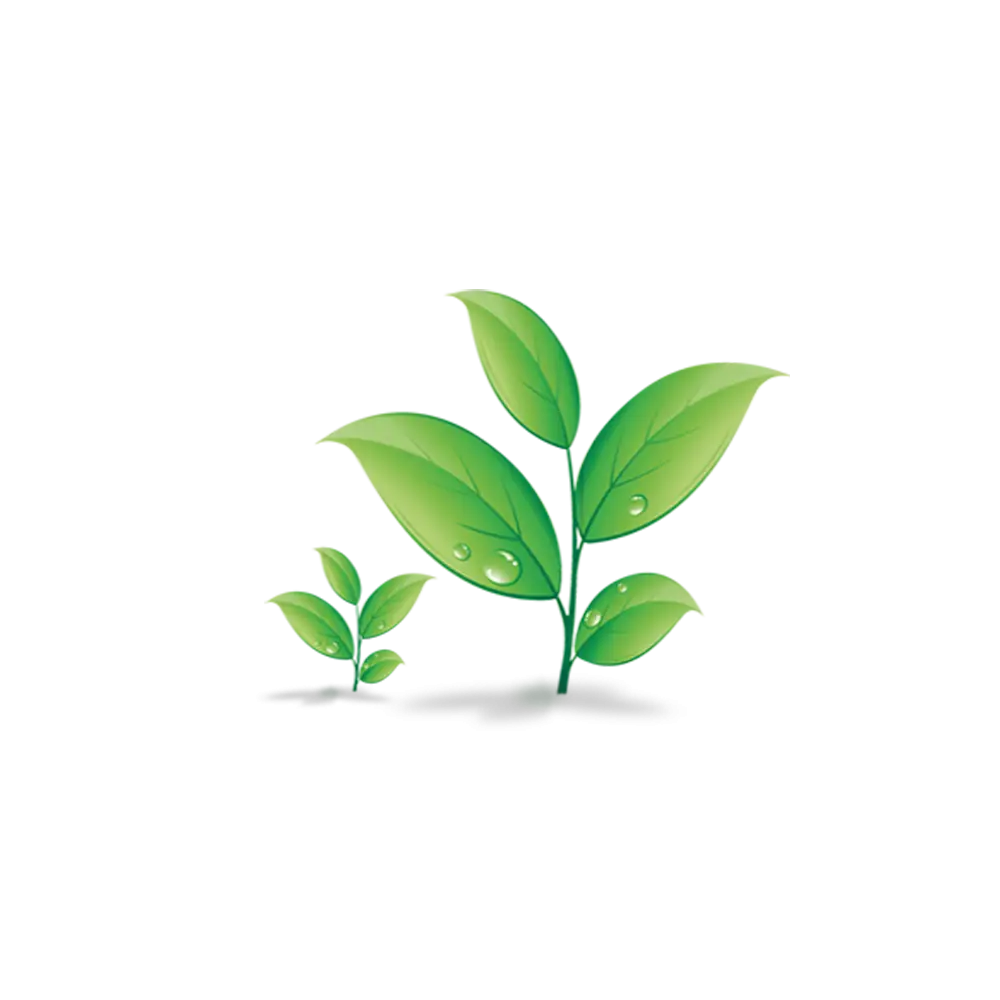Green Plants with Fresh Leaves