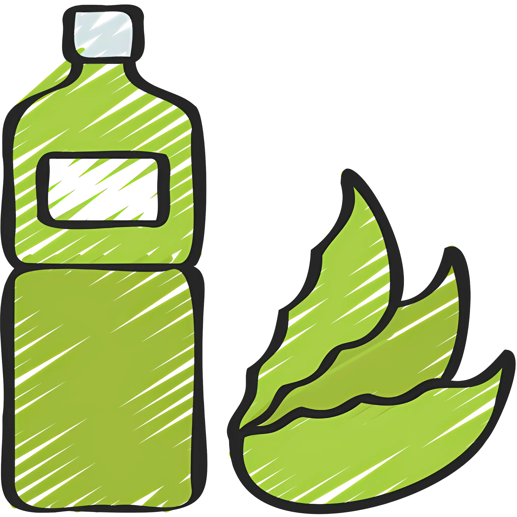 Aloe Vera Bottle with Leaves Illustration