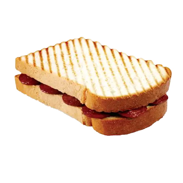 Delicious Grilled Cheese Sandwich