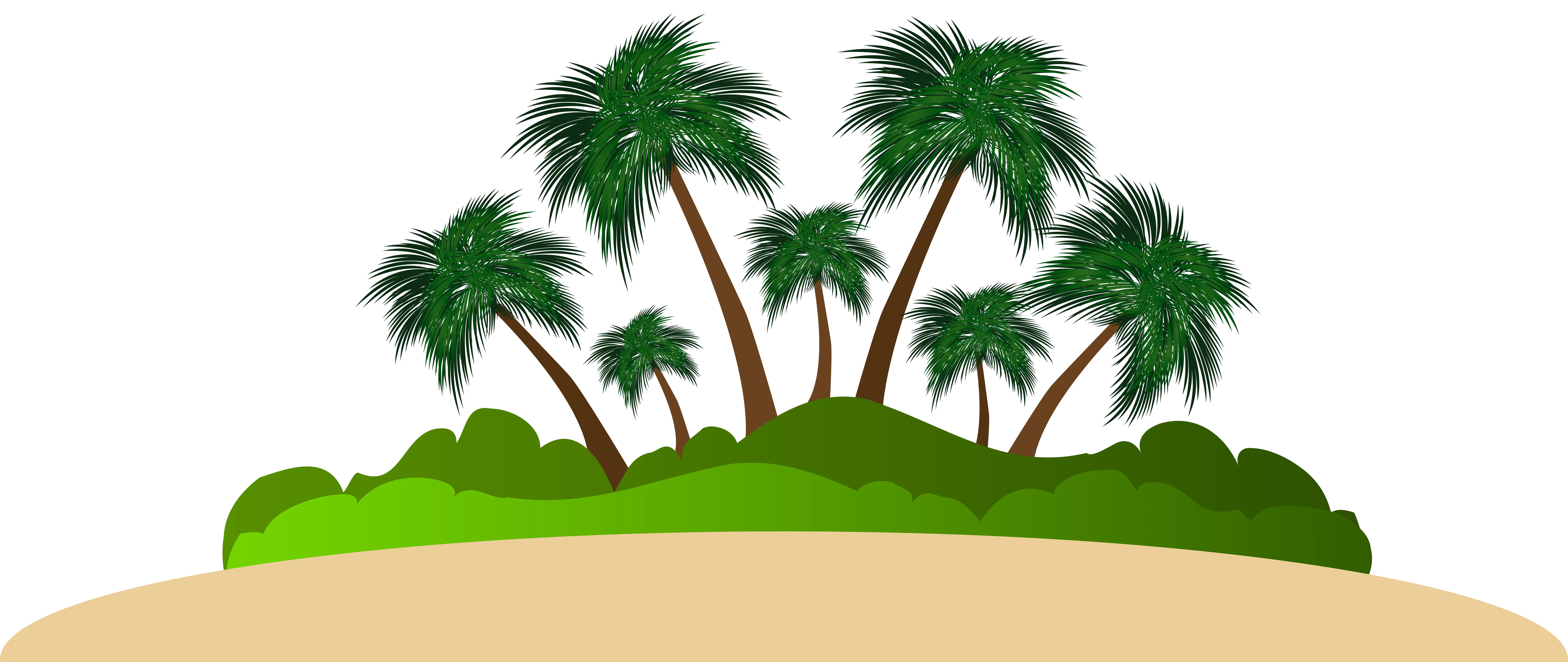 Tropical Island with Lush Palm Trees