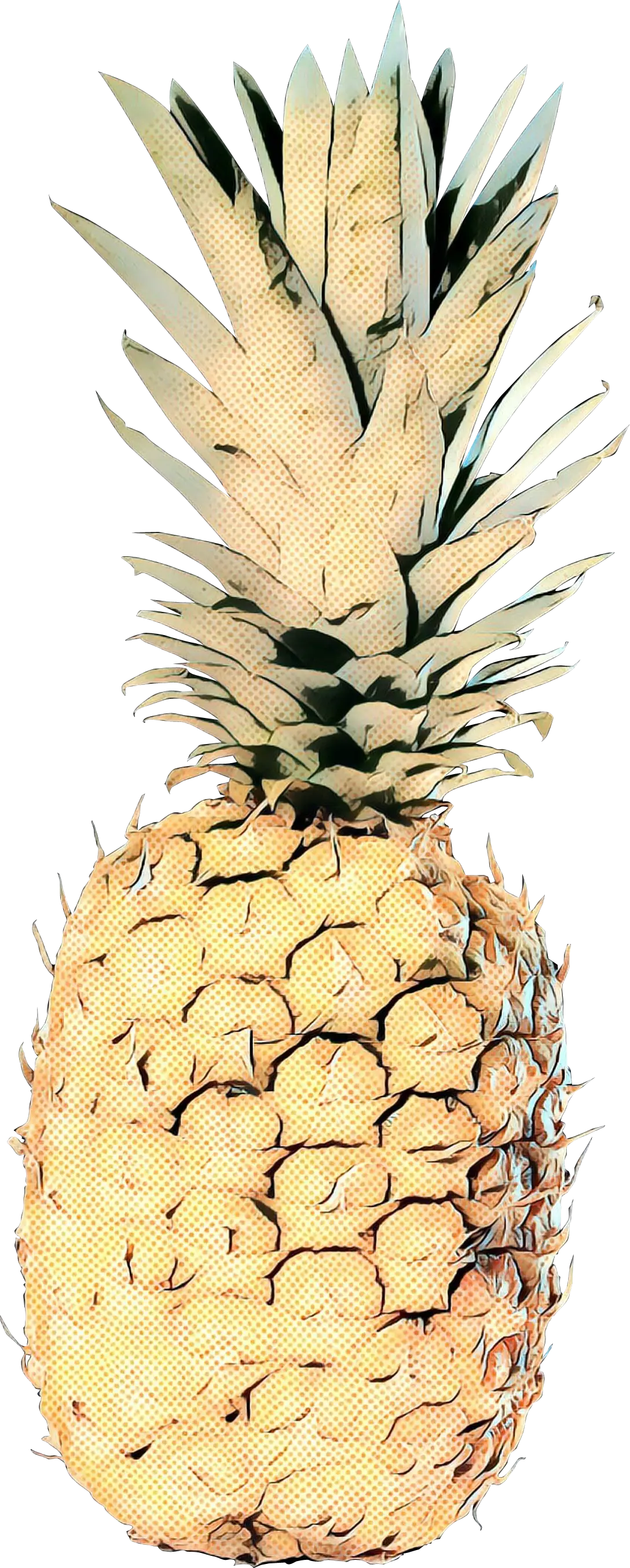 Tropical Pineapple Drawing