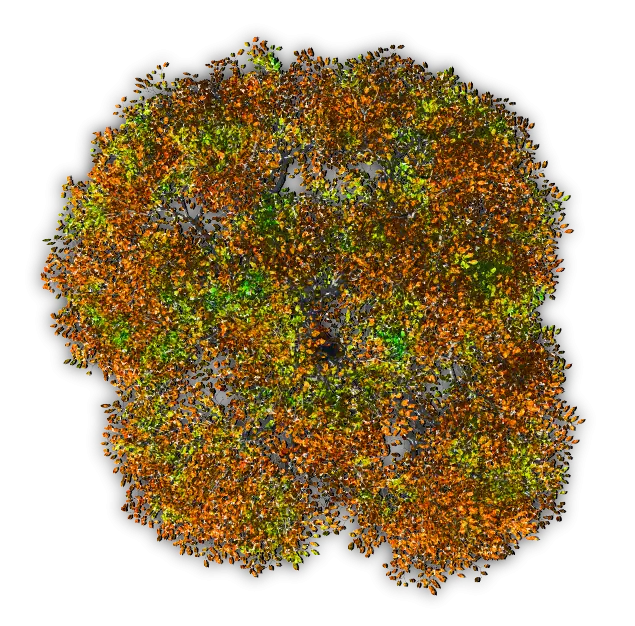 Autumn Foliage Cluster Illustration