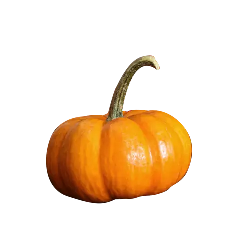 Orange Pumpkin Symbolizing Fall Season