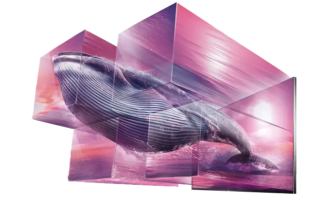 3D Whale Art with Ocean Background