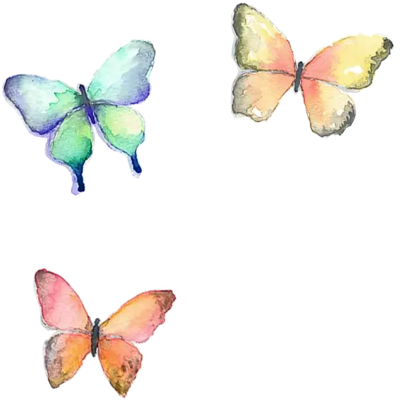 Watercolor Butterfly Artwork With Vibrant Colors