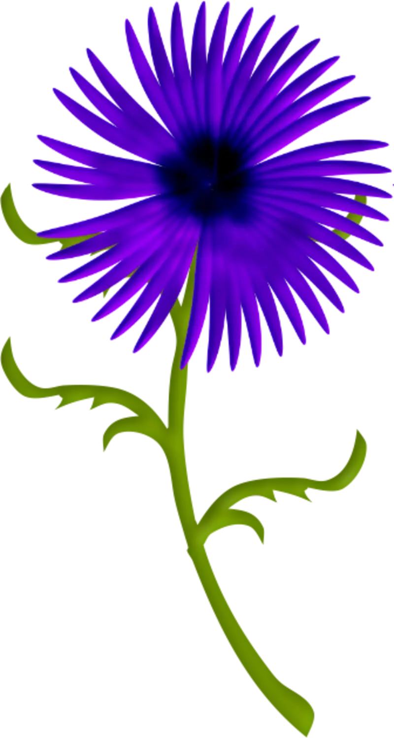 Vivid Purple Flower with Stem