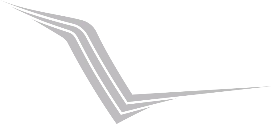 Gray Boomerang