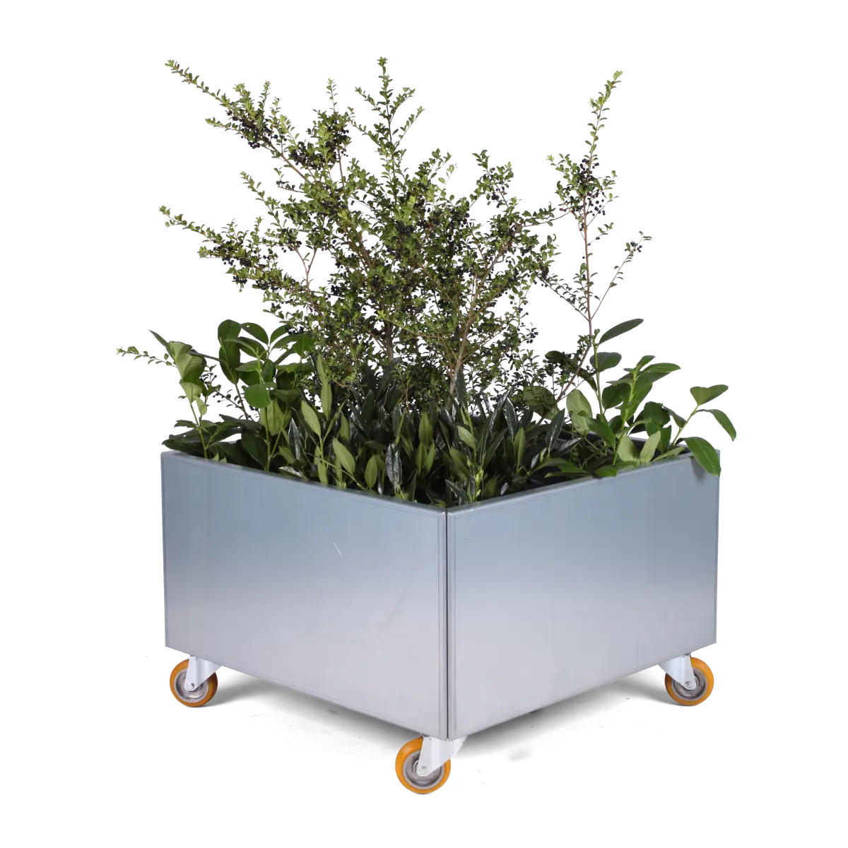 Metal Planter with Green Plants