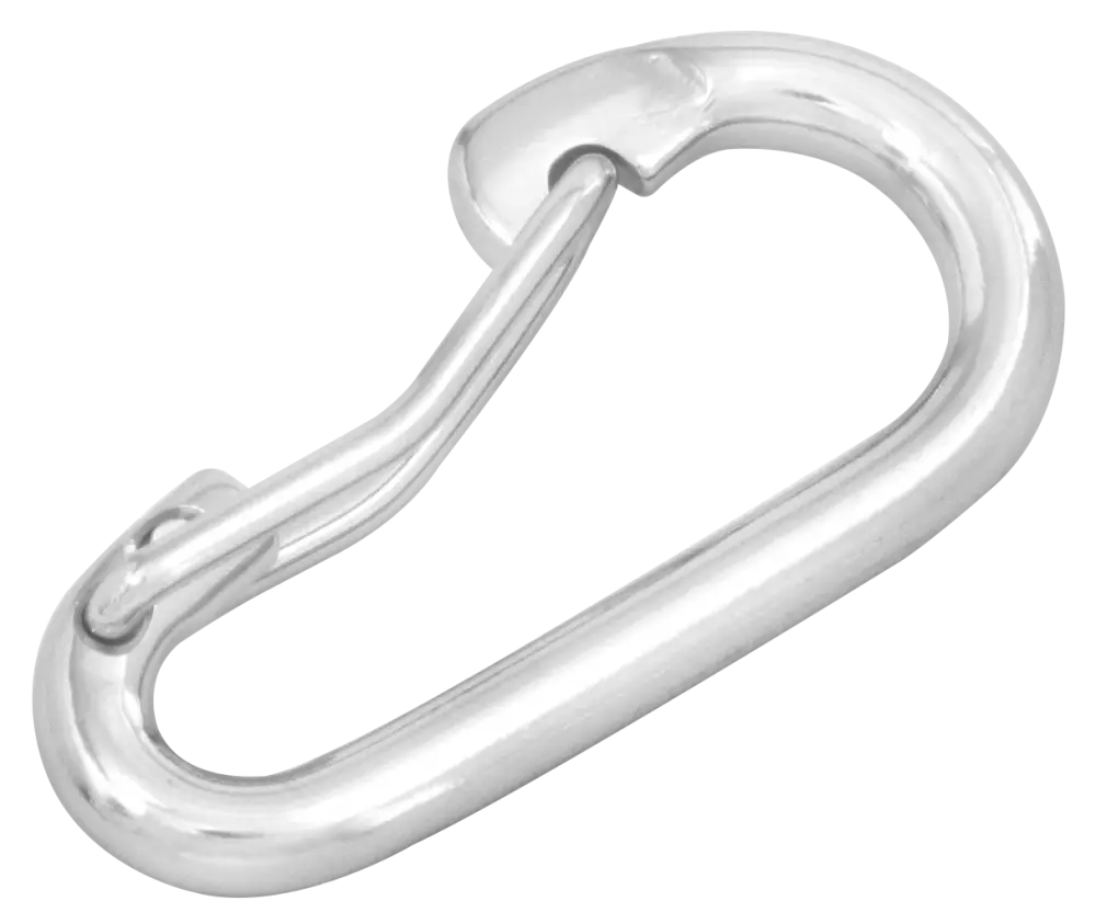 Silver Carabiner Clip
