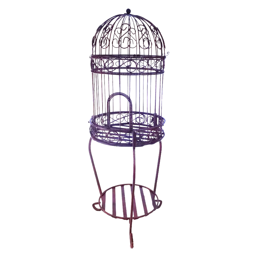 Vintage Birdcage for Home Decor