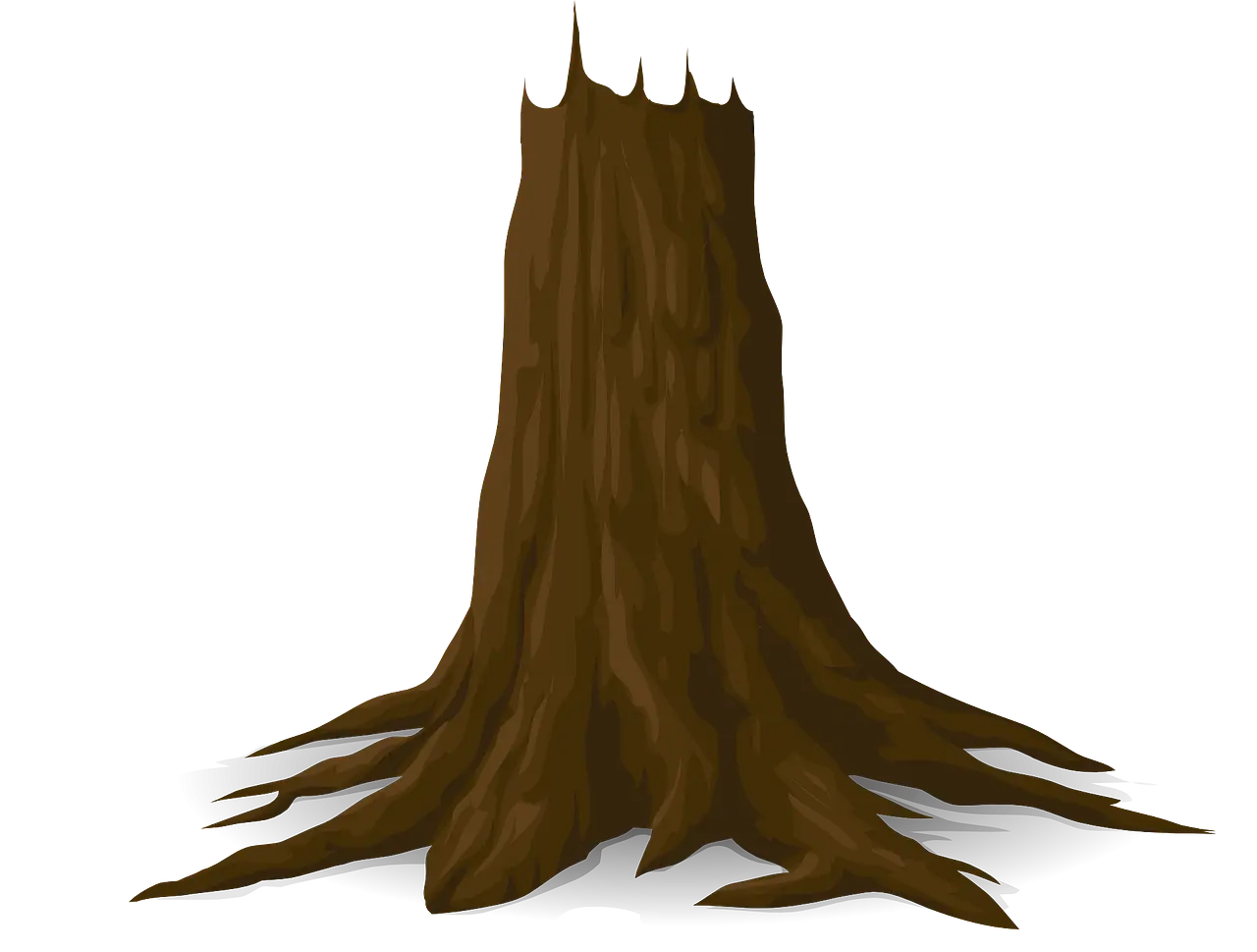 Tree Stump with Exposed Roots
