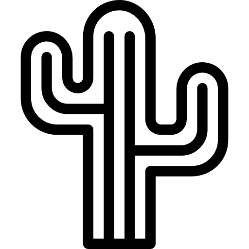 Cactus Line Drawing Illustration