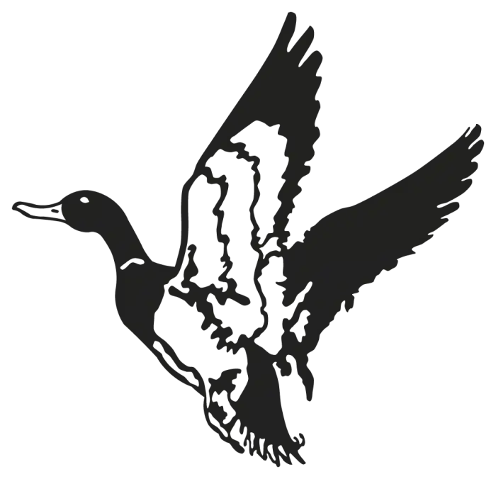 Flying Duck Silhouette