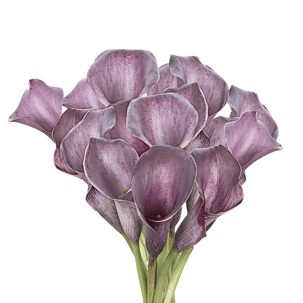 Lovely Purple Calla Lilies Bouquet
