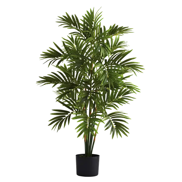 Potted Green Decorative Plant