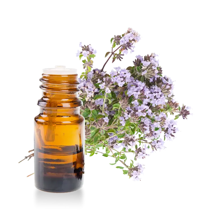 Amber Bottle of Essential Oil with Thyme