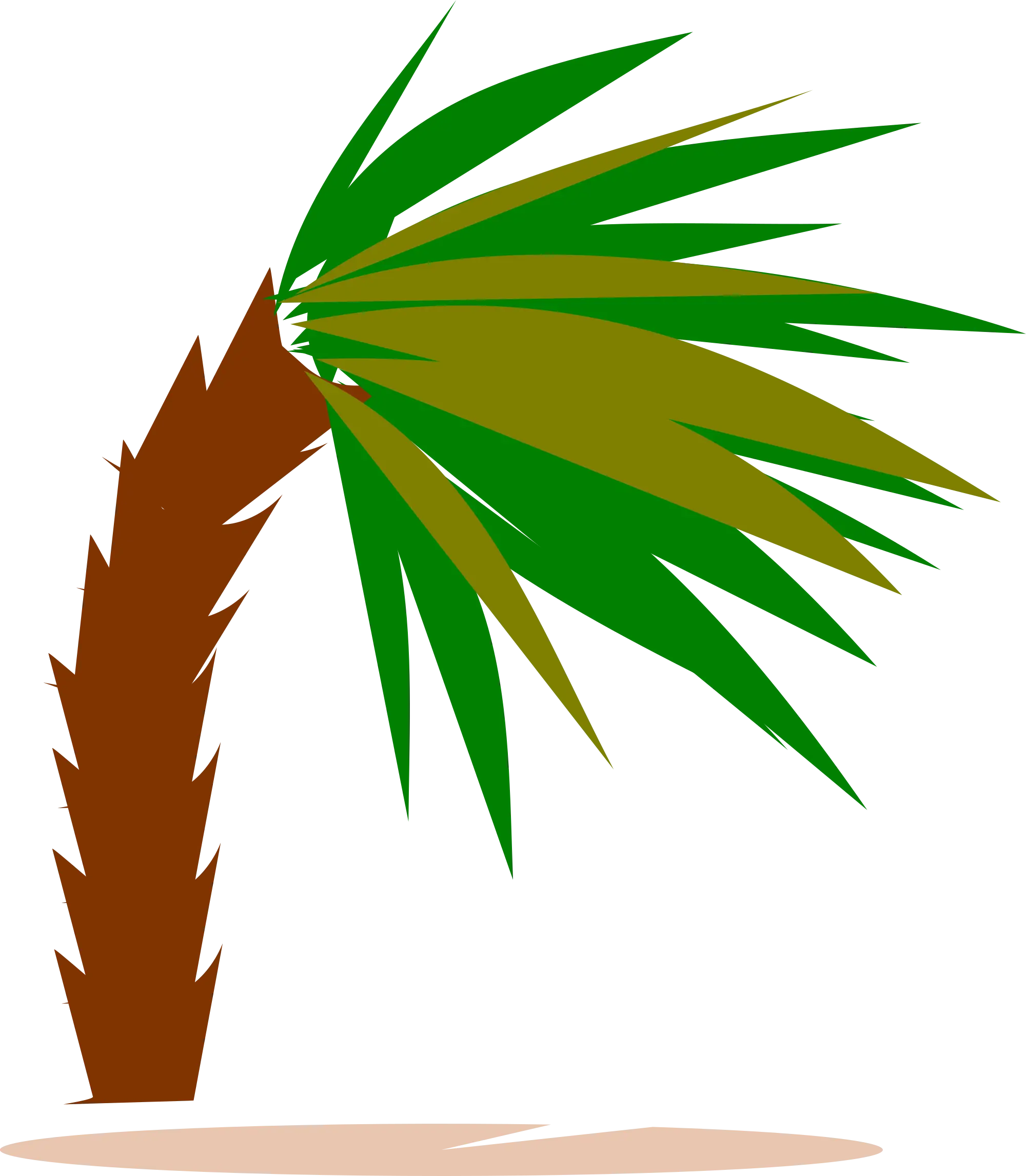 Tropical Palm Tree Illustration for Summer Vibes